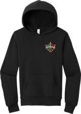 Delaware Ducks Youth Sponge Fleece Pullover Hoodie